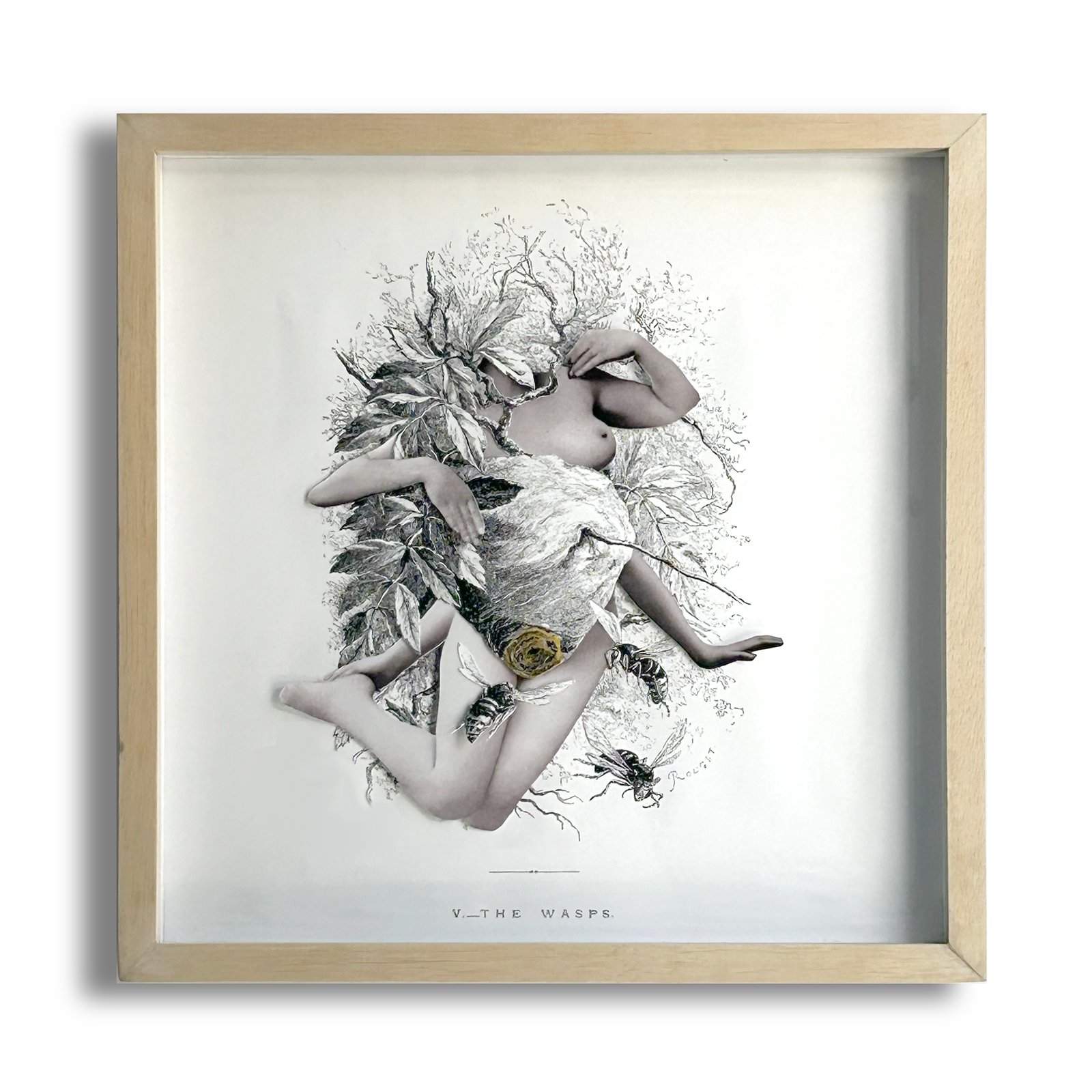 Universo avispa (6/5)