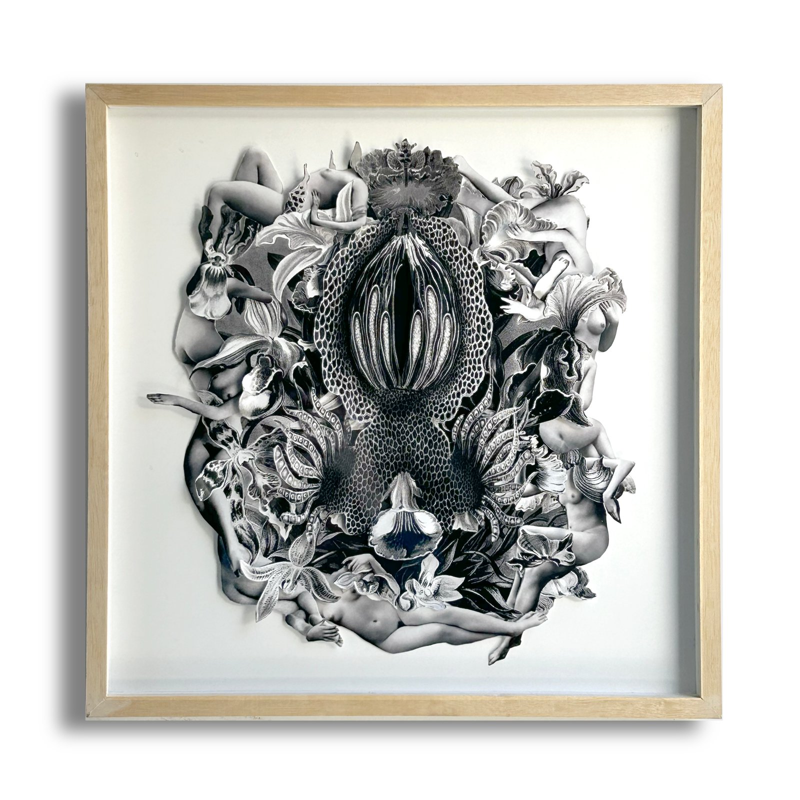 Universo Origen (2/5)