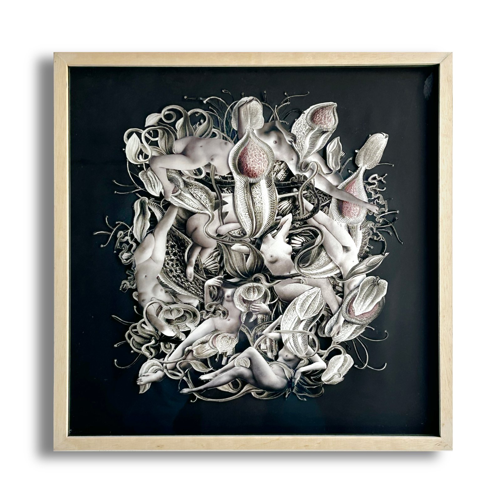 Universo Nepenthe (2/5)