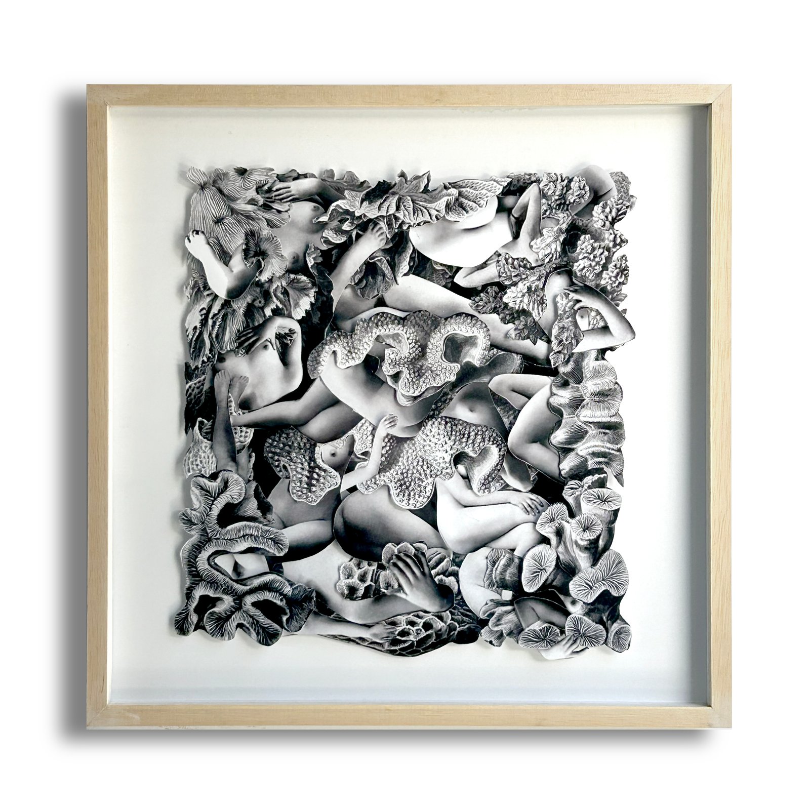 Universo Cielo (3/5)