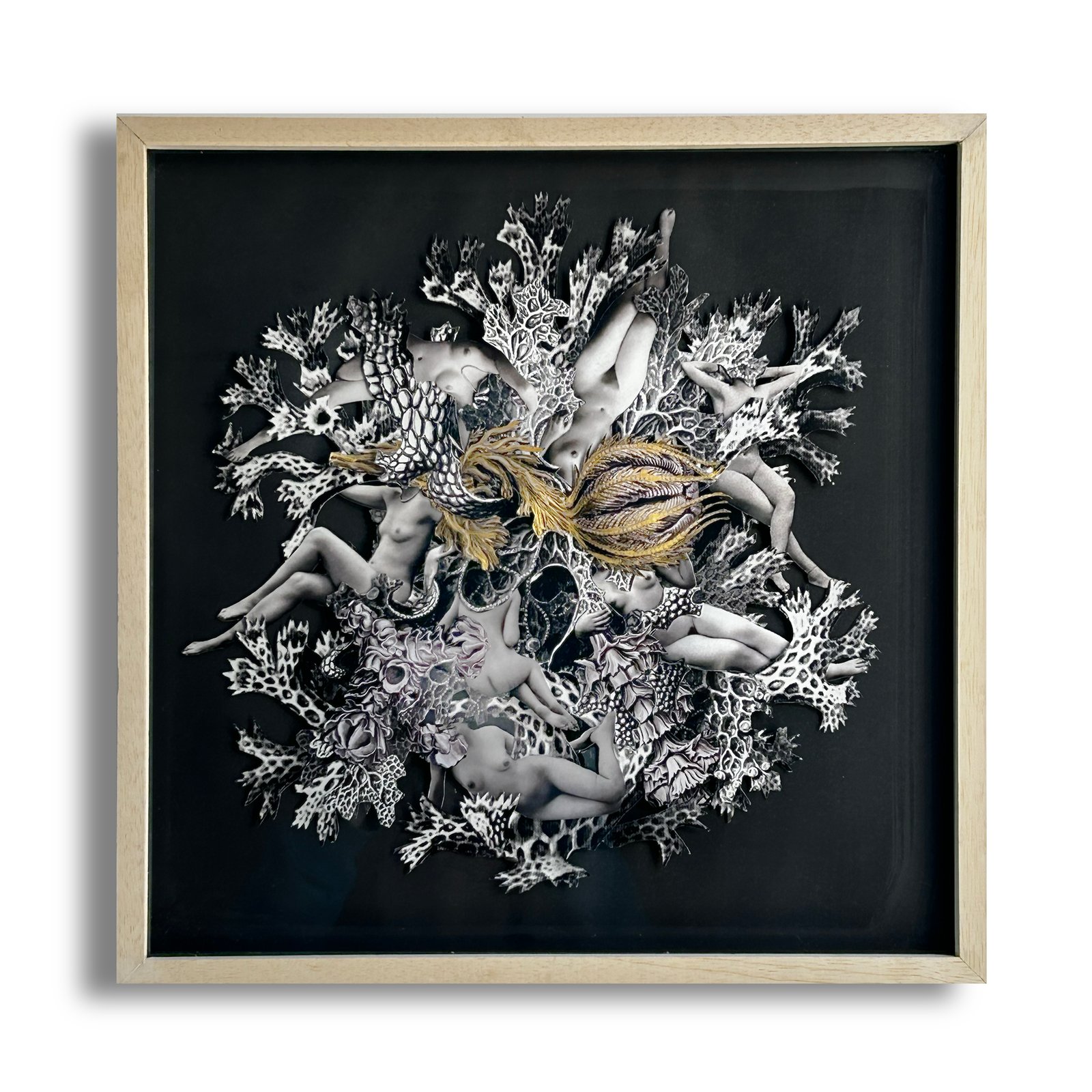 Universo Noche (1/5)