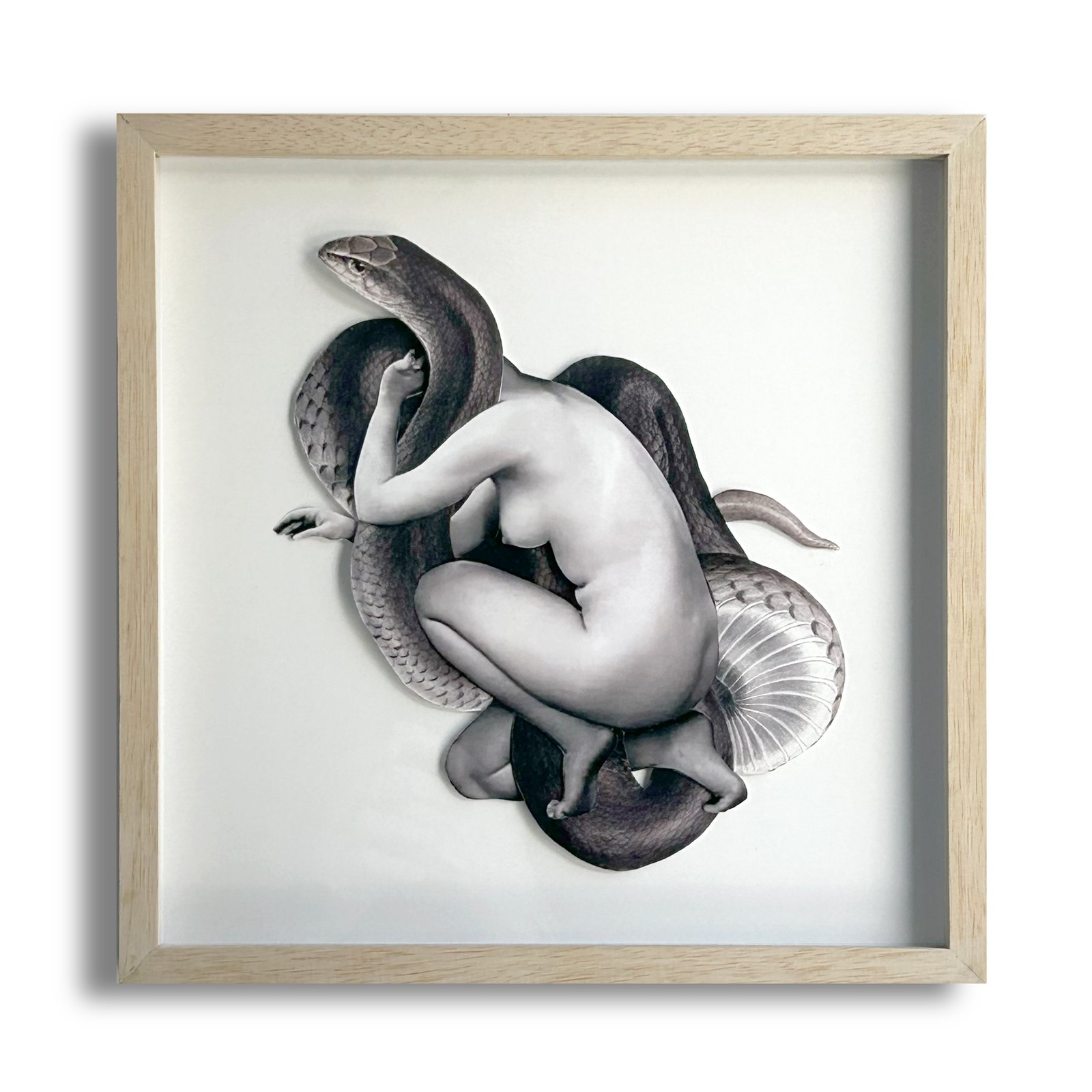 Universo Reptil (4/5)